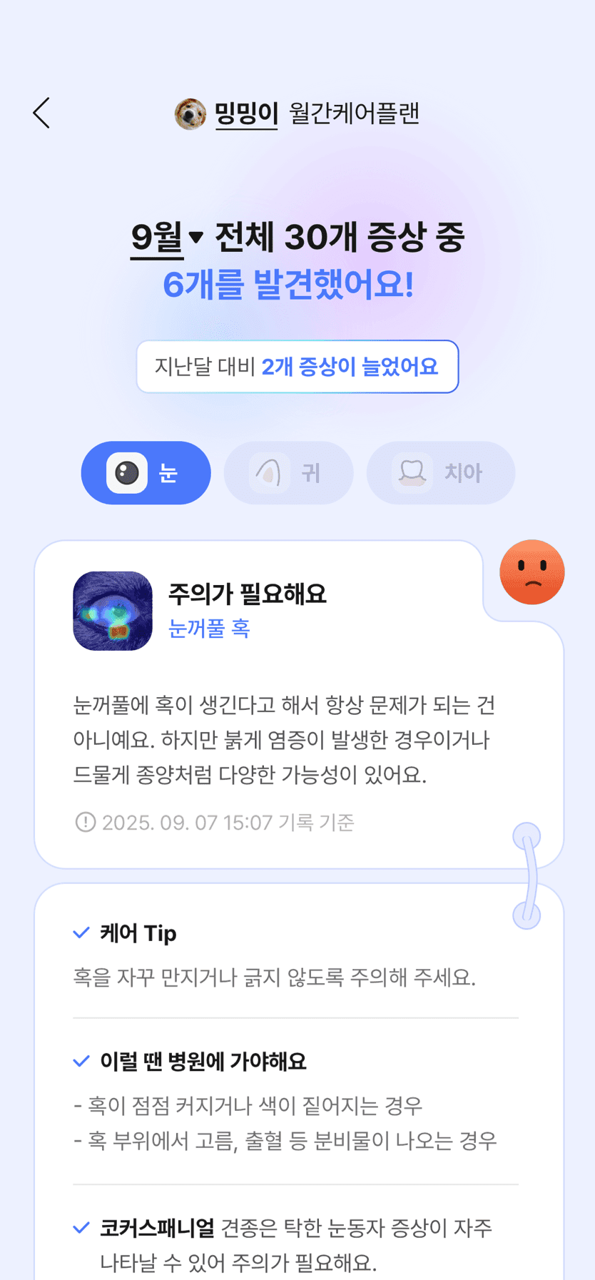 월간 케어 플랜 앱 화면